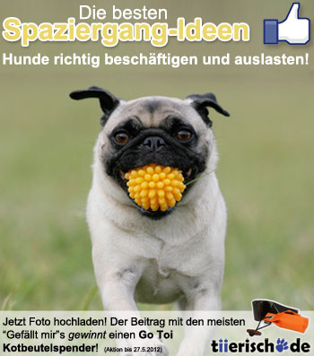 tiierisch.de Facebook Gewinnspiel