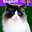 Ragdoll / Kieselbach