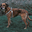 Blinkendes Hundegeschirr Reflash