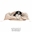 Hundebett Der Kleine Hundekönig