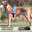 Hundegeschirr mit Sprüchen XDog