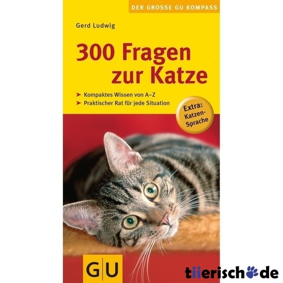 Single mann katze The Quiet Man () - IMDb