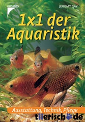 1×1 der Aquaristik