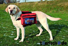 Rucksack für Hunde