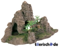 Felsformation mit Höhle und Pflanzen