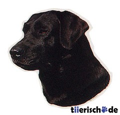 Aufkleber Labrador schwarz
