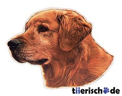Hundeaufkleber Golden Retriever