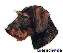 Aufkleber Rauhaar Teckel Dackel 