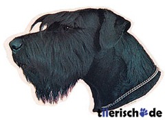 Aufkleber Riesenschnauzer schwarz