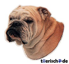Aufkleber Englische Bulldogge
