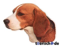 Beagle Aufkleber