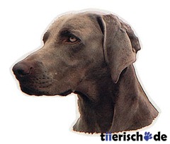 Aufkleber Weimaraner grau