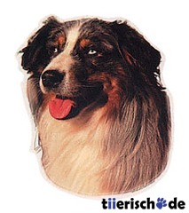 Aufkleber Australian Shepherd