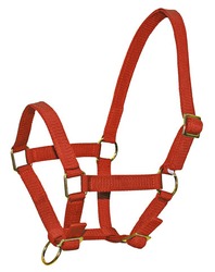 Fohlenhalfter Classic aus Nylon