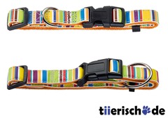 Hundehalsband Fancy Stripes