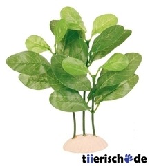 6er Set Aquarium Deko Pflanzen 
