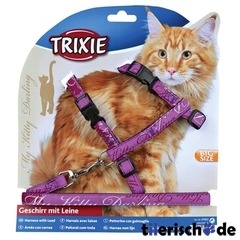 Katzengeschirr XL mit Leine My Kitty Darling