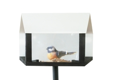 Vogelhäuschen Spot mit Vergrößerungsglas