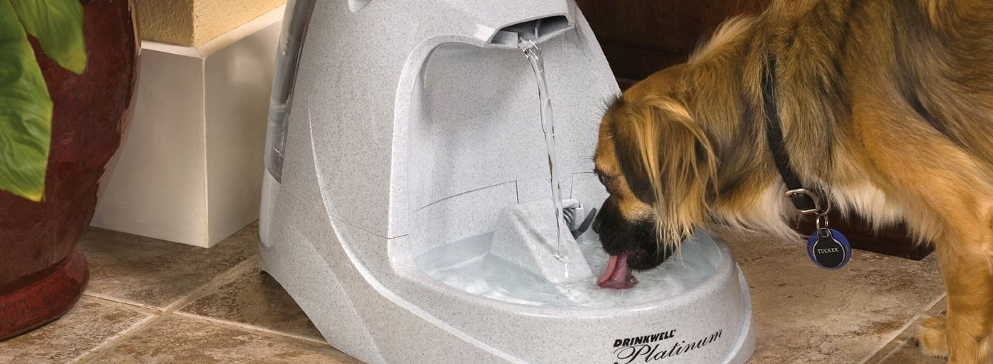 trinkbrunnen hund gro�
