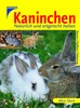 Kaninchen / Stern