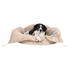 Hundebett Der Kleine Hundekönig