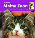 Maine Coon / Kieselbach