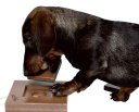 Dog Activity Gamble Box Intelligenzspielzeug für Hunde