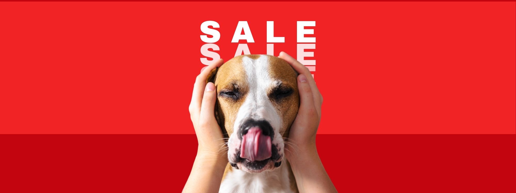 Hundezubehör günstig im SALE: Entdecke tolle Angebote für deinen Hund