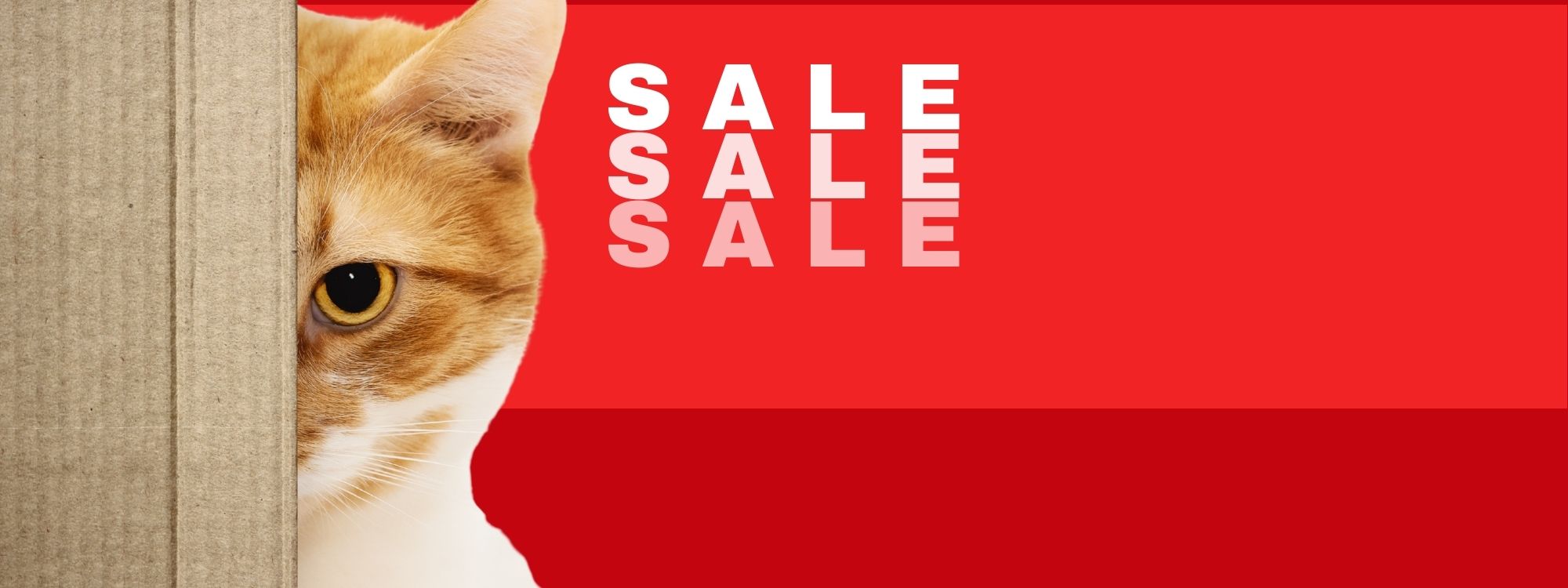 Katzenzubehör im SALE – Tolle Angebote für deine Samtpfote