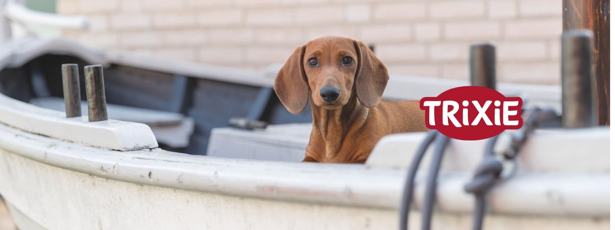Aktuelle Trixie Heimtierbedarf Neuheiten für Hunde