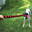 KONG Signature Rope Dual Knot - Mega Dual Knot - 102 cm
