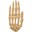 Hand