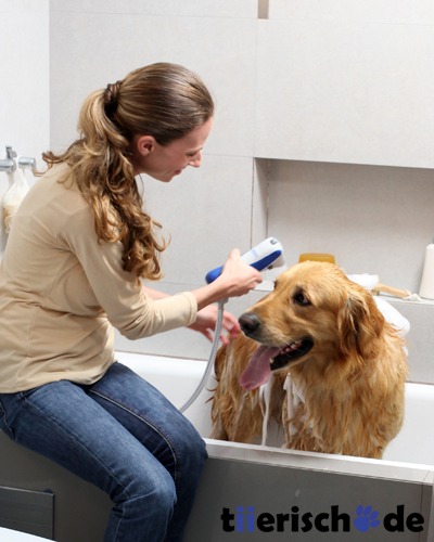 Hundedusche Schnell Badesystem Bild 2