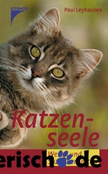 Katzenbuch Katzenseele Bild 1