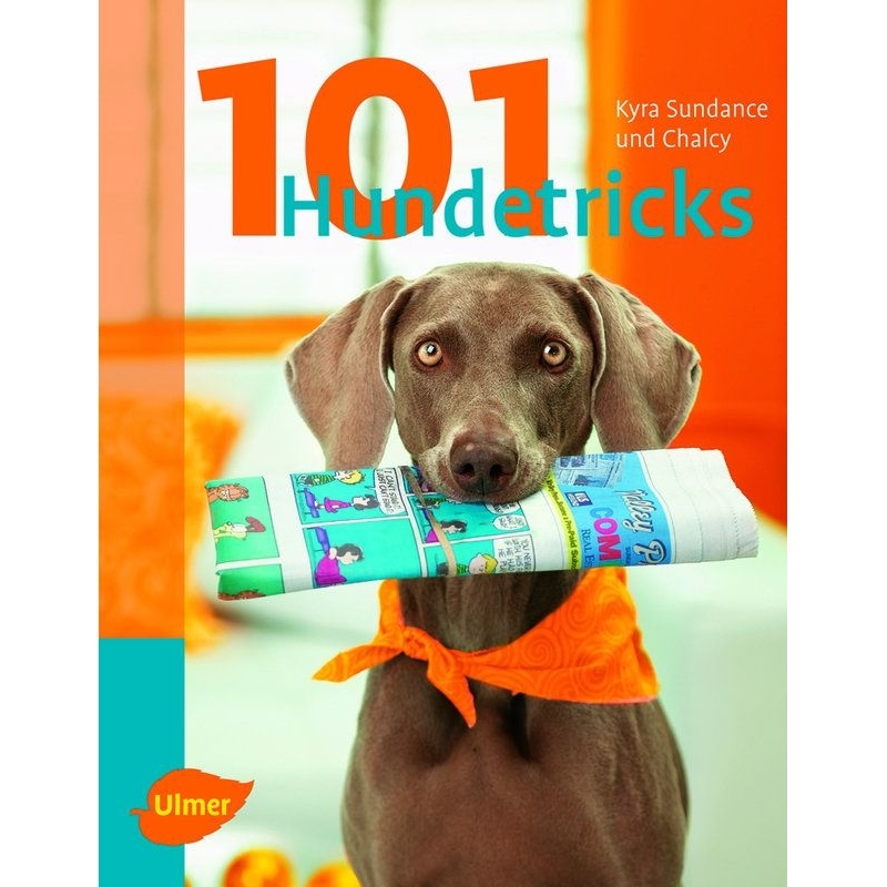 101 Hundetricks Bild 1