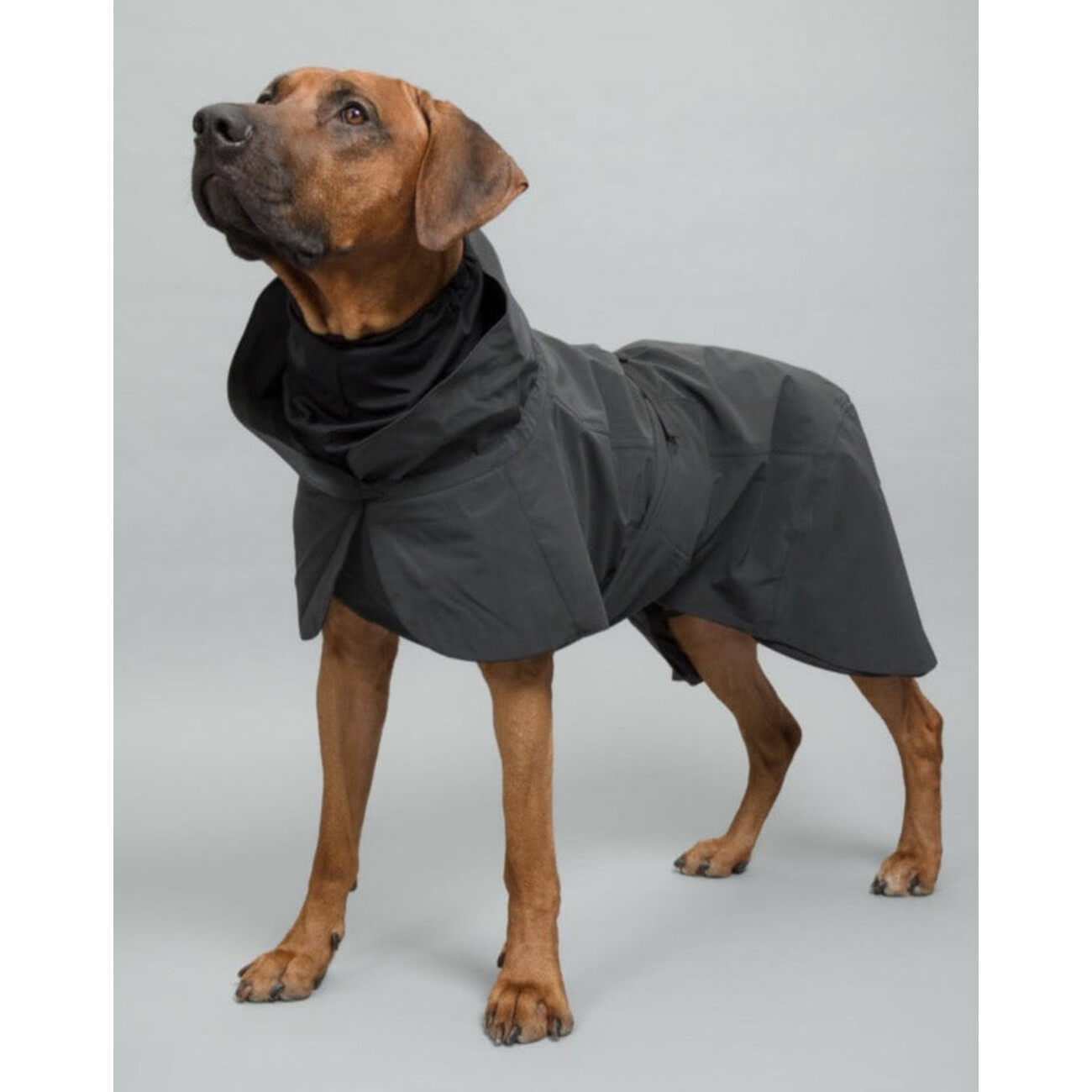 PAIKKA Visibility Raincoat Dark – Hochreflektierender, wasserdichter Hunderegenmantel Bild 1