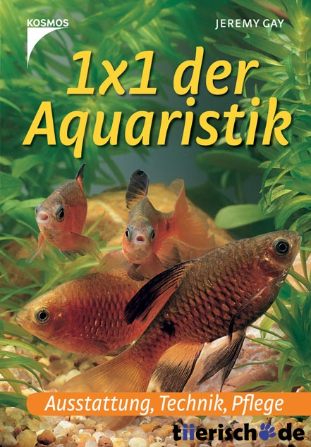 1×1 der Aquaristik Bild 1