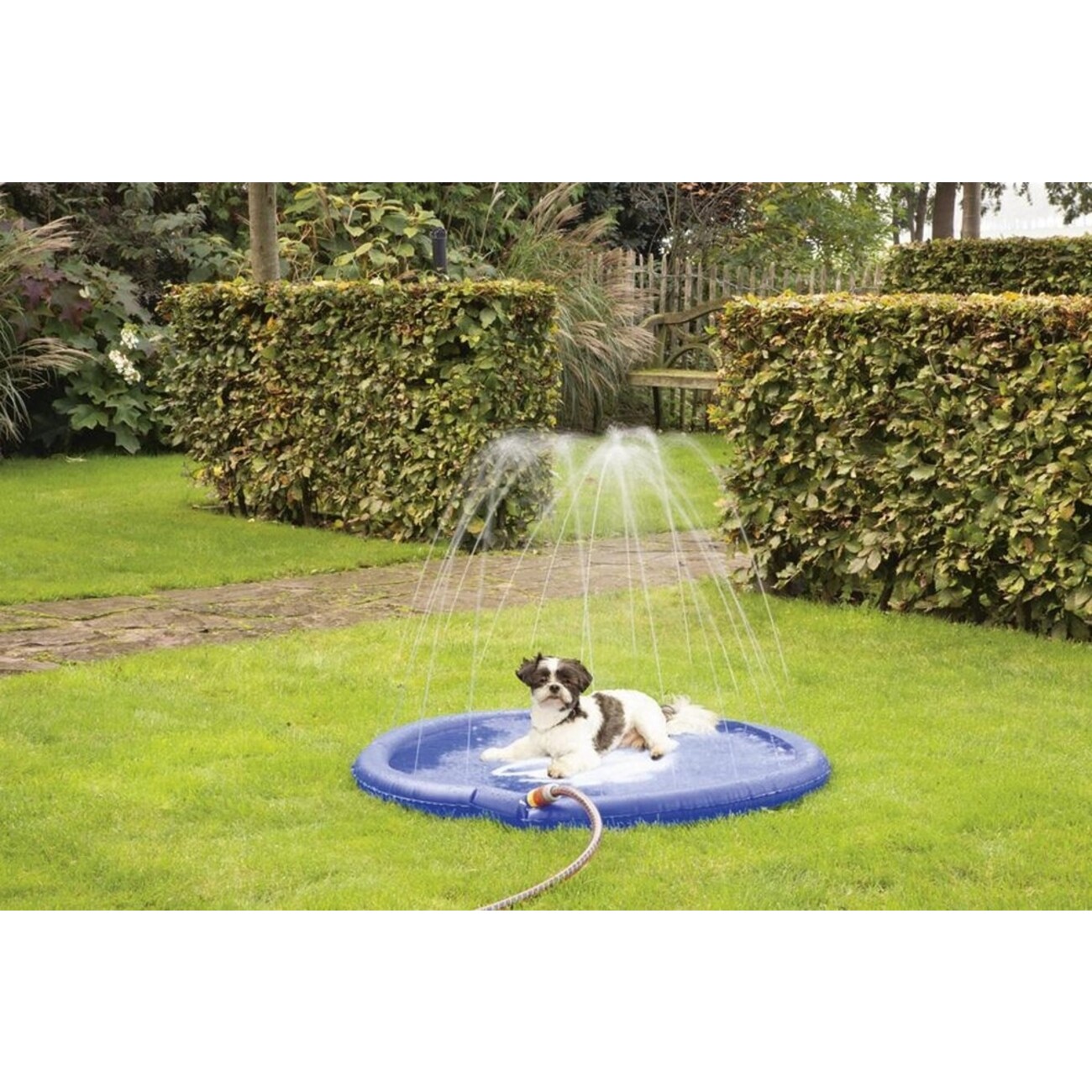Hunde Sprinklermatte stay cool 100 cm Bild 2