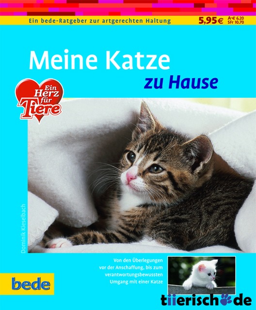 Meine Katze zu Hause / Kieselbach Bild 1