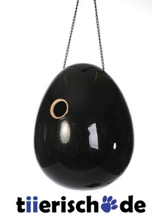 Design Vogel Nistkasten Nistei Bild 1
