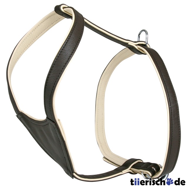 Bovini Hundegeschirr aus Leder Bild 1