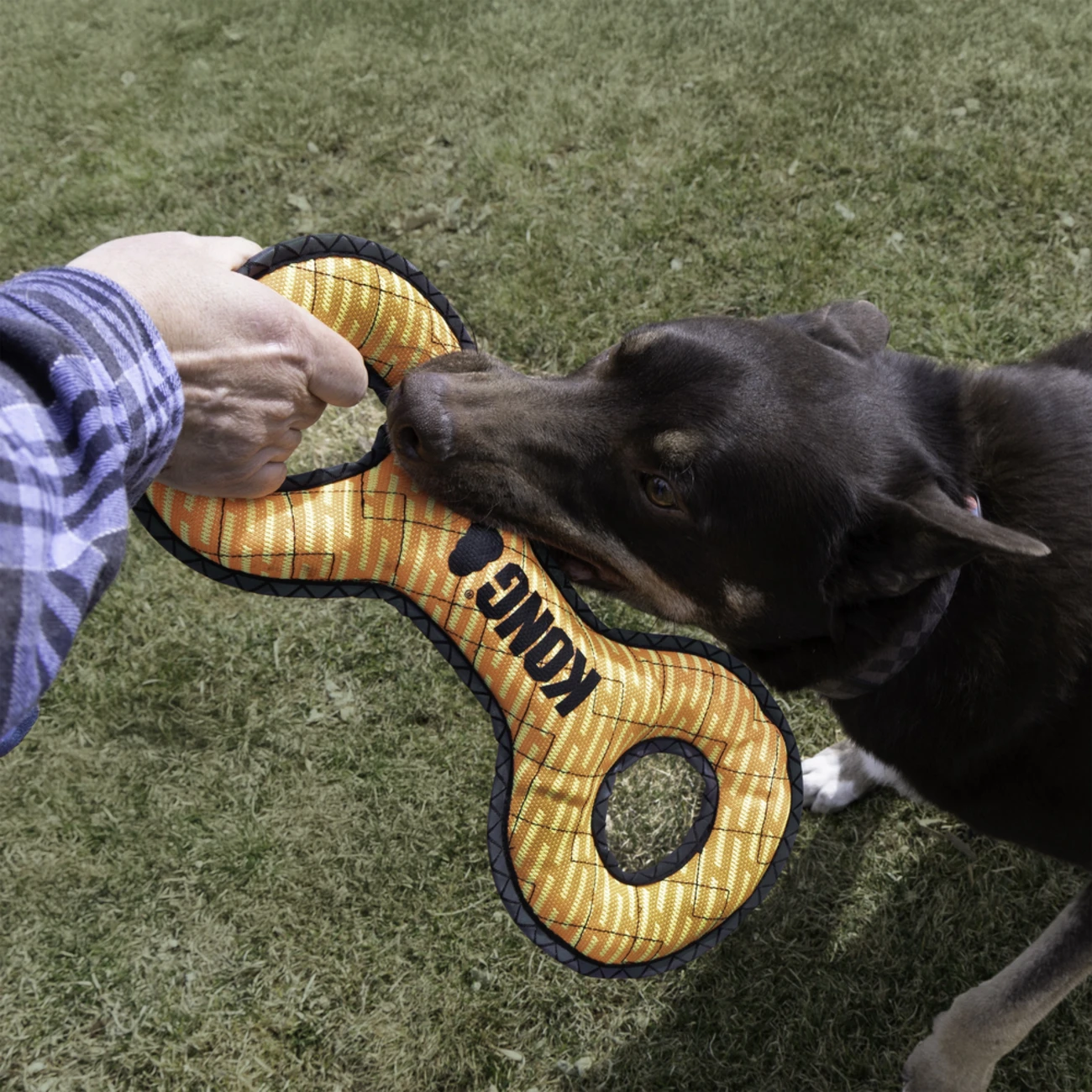 Armor Double Tug – Robustes Zerrspielzeug für Hunde Bild 2