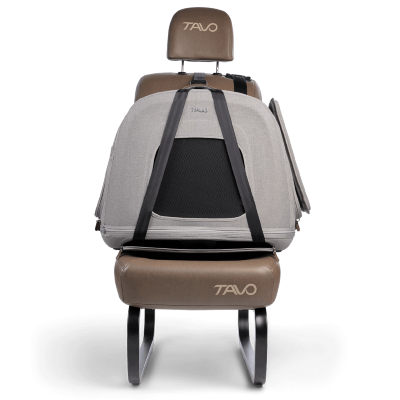 Crispin: Crashgetestete Transportbox für Hunde & Katzen 🐶🐱 Bild 8