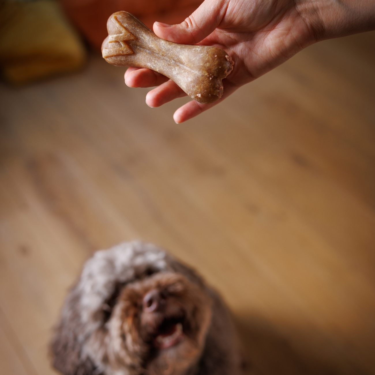 WHIMZEES® Reisknochen Zahnpflege Hundesnack Größe: M/L Bild 2