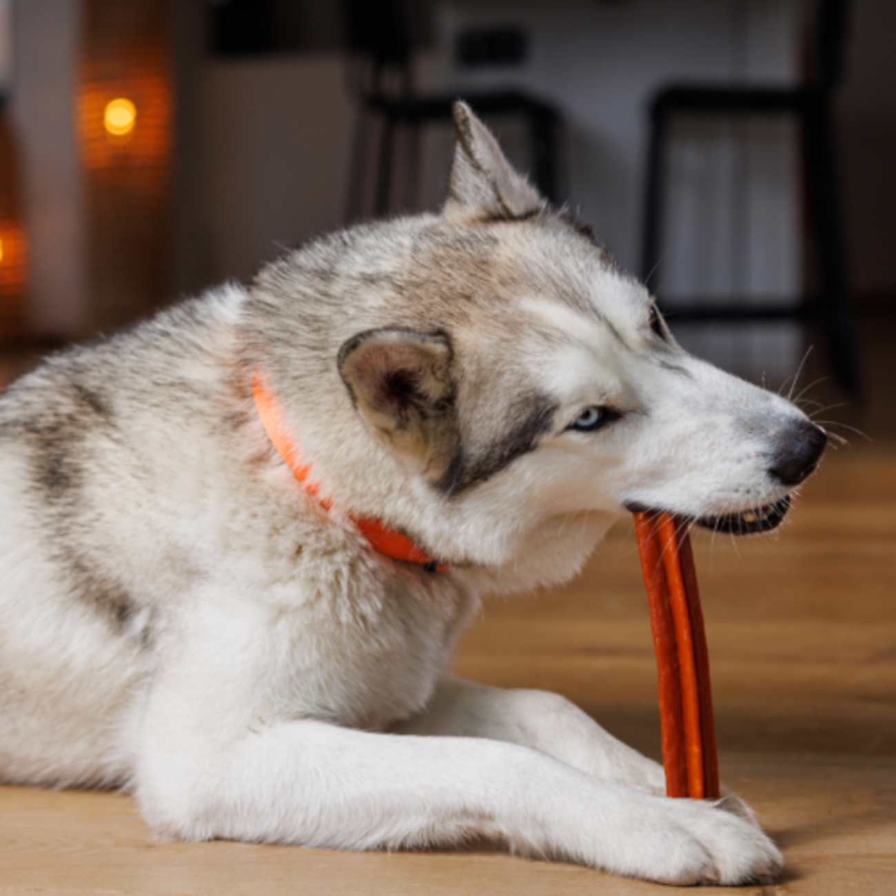 WHIMZEES® Zahnpflege Stix Hundesnack, lose Bild 2