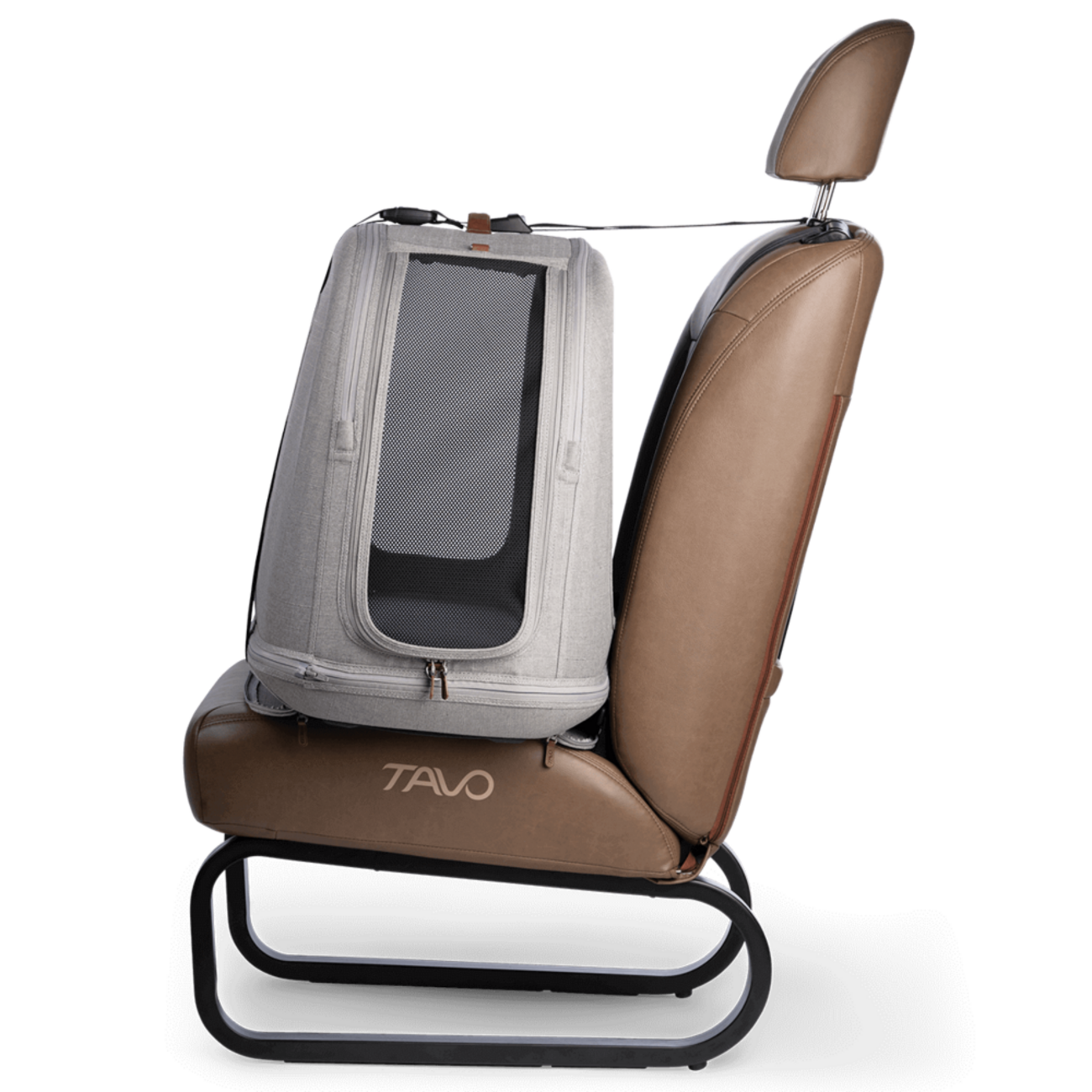 Crispin: Crashgetestete Transportbox für Hunde & Katzen 🐶🐱 Bild 33