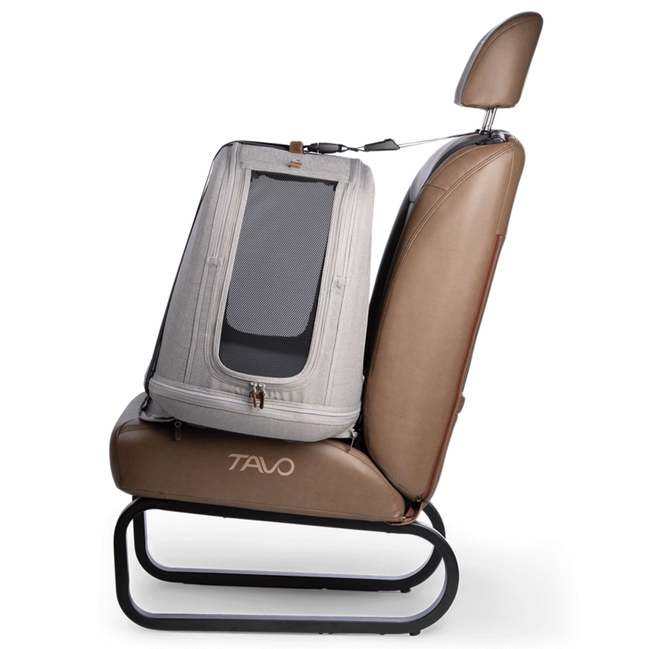 Crispin: Crashgetestete Transportbox für Hunde & Katzen 🐶🐱 Bild 22