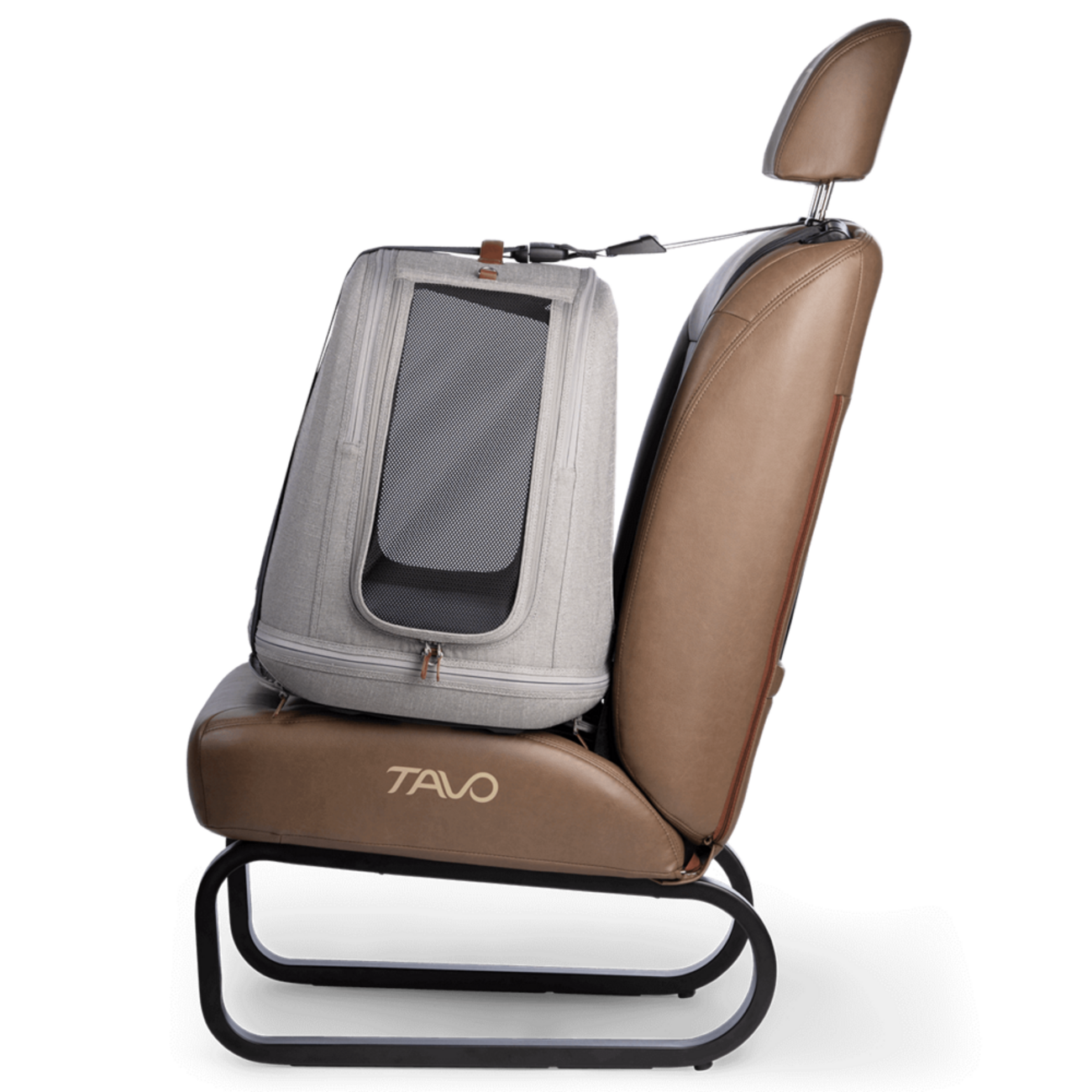 Crispin: Crashgetestete Transportbox für Hunde & Katzen 🐶🐱 Bild 9