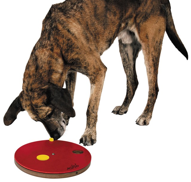 Hunde Intelligenzspielzeug Dog Activity Roulette Bild 2