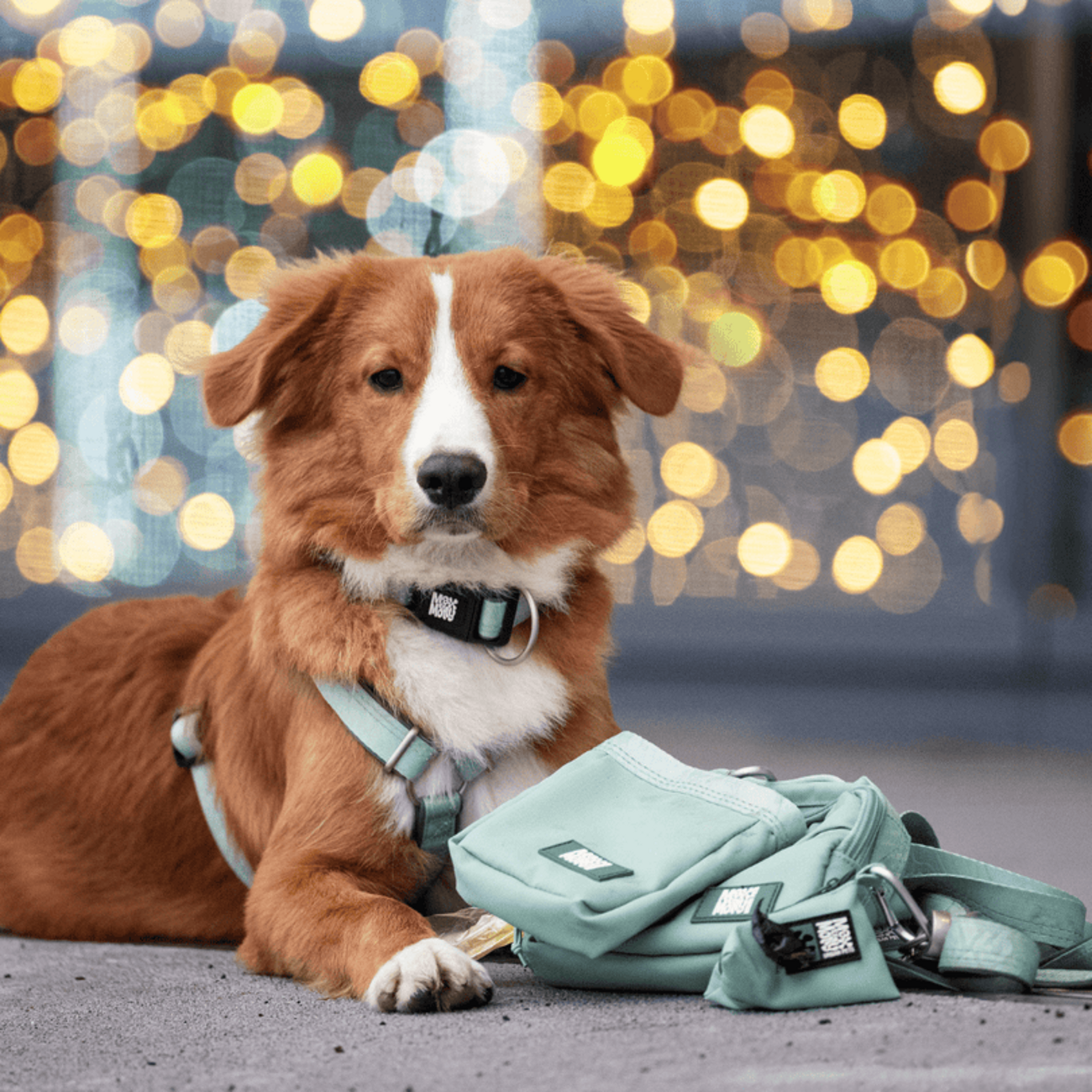 Matrix 2.0 Trainingstasche Bild 13